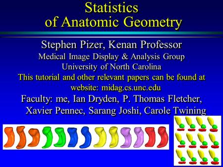 Statistics of Anatomic Geometry Stephen Pizer, Kenan Professor Medical Image Display & Analysis Group University of North Carolina This tutorial.