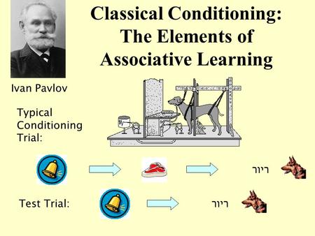 Classical Conditioning: The Elements of Associative Learning Ivan Pavlov ריור Typical Conditioning Trial: Test Trial:ריור.