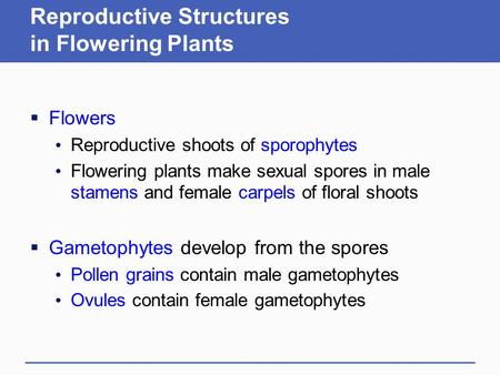 Reproductive Structures in Flowering Plants