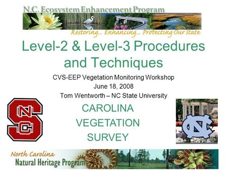 Level-2 & Level-3 Procedures and Techniques CVS-EEP Vegetation Monitoring Workshop June 18, 2008 Tom Wentworth – NC State University CAROLINA VEGETATION.