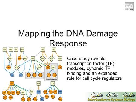 Case study reveals transcription factor (TF) modules, dynamic TF binding and an expanded role for cell cycle regulators Mapping the DNA Damage Response.