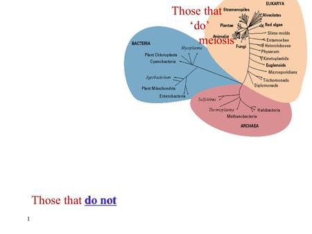 Those that ‘do’ meiosis Those that do not do not 1.