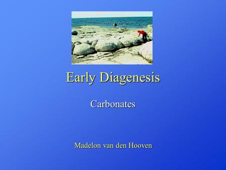 Carbonates Madelon van den Hooven