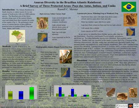 ___________ Anuran Diversity in the Brazilian Atlantic Rainforest: A Brief Survey of Three Protected Areas: Poço das Antas, Imbau, and União Russell C.