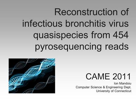 Reconstruction of infectious bronchitis virus quasispecies from 454 pyrosequencing reads CAME 2011 Ion Mandoiu Computer Science & Engineering Dept. University.