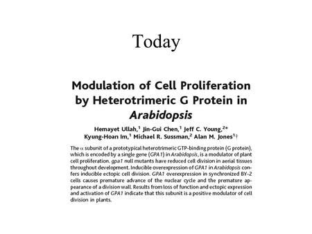 Today G Protein Coupled Receptors Animals signal transduction pathway, i.e.; cAMP phospholipase C cGMP phosphodiesterase MAPK activated receptor something.