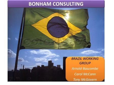 BONHAM CONSULTING BRAZIL WORKING GROUP Arnold Bascombe Carol McCann Tony McGovern BRAZIL WORKING GROUP Arnold Bascombe Carol McCann Tony McGovern.