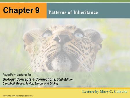 Copyright © 2009 Pearson Education, Inc. PowerPoint Lectures for Biology: Concepts & Connections, Sixth Edition Campbell, Reece, Taylor, Simon, and Dickey.