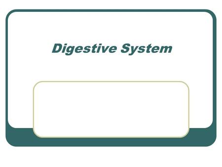 Digestive System.