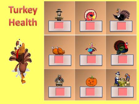 Which food helps your muscles to grow stronger? A. Chicken (protein) B. Corn (vegetable) C. Snickers bar (sweets) D. Cheerios (grains)