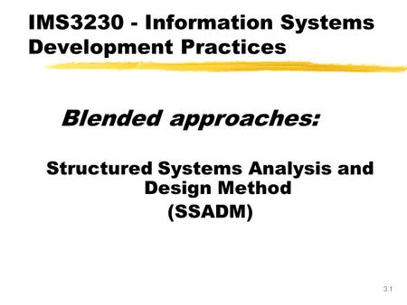 IMS Information Systems Development Practices