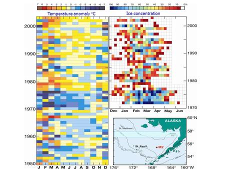 Temperature anomaly o C Ice concentration. Impacts of Climate Variations on the Bering Sea Ecosystem Overarching theme: Describing the state of the Bering.