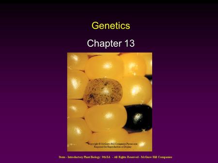 Genetics Chapter 13 Copyright © McGraw-Hill Companies Permission