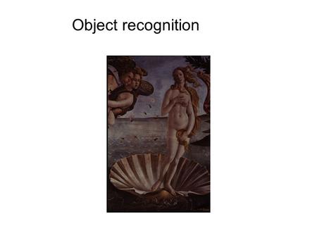 Object recognition. Object Classes Individual Recognition.