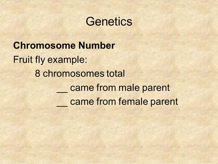 Genetics Chromosome Number Fruit fly example: 8 chromosomes total