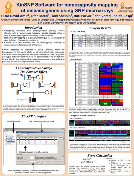 KinSNP Software for homozygosity mapping of disease genes using SNP microarrays El-Ad David Amir 1, Ofer Bartal 1, Yoni Sheinin 2, Ruti Parvari 2 and Vered.