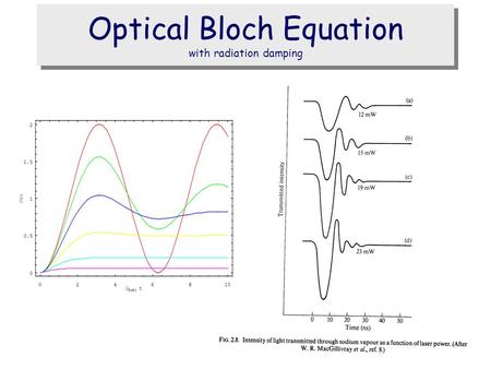 Optical Bloch Equation with radiation damping. Optical Bloch Equation Rabi oscillations detector Laser beam collimated atomic beam.