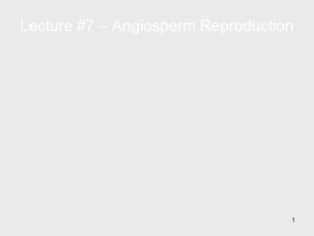 1 Lecture #7 – Angiosperm Reproduction. 2 Key Concepts: Life Cycles – the alternation of generations The structure of a flower Development of the male.