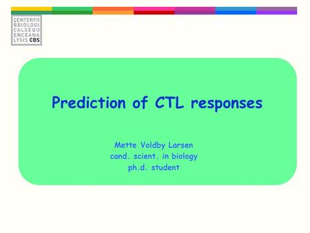 Prediction of CTL responses Mette Voldby Larsen cand. scient. in biology ph.d. student.