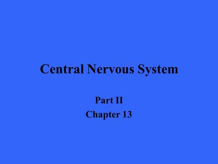 Central Nervous System