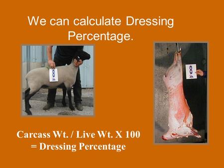 We can calculate Dressing Percentage. Carcass Wt. / Live Wt. X 100 = Dressing Percentage.