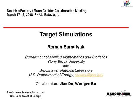 Brookhaven Science Associates U.S. Department of Energy Neutrino Factory / Muon Collider Collaboration Meeting March 17-19, 2008, FNAL, Batavia, IL Target.