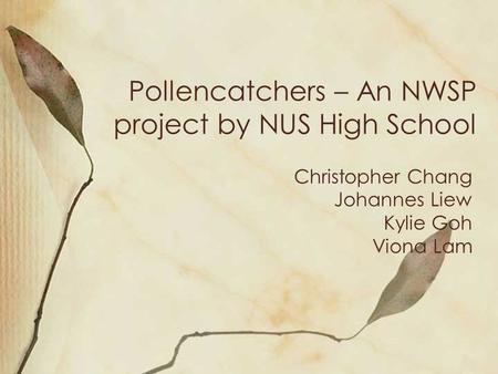 Pollencatchers – An NWSP project by NUS High School Christopher Chang Johannes Liew Kylie Goh Viona Lam.