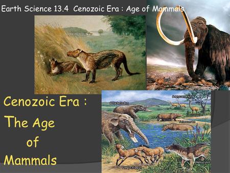 Earth Science 13.4 Cenozoic Era : Age of Mammals