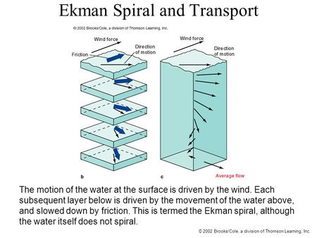 © 2002 Brooks/Cole, a division of Thomson Learning, Inc. Ekman Spiral and Transport The motion of the water at the surface is driven by the wind. Each.