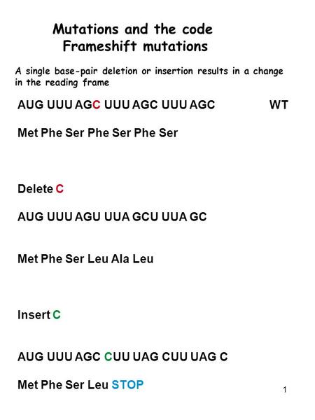 Mutations and the code Frameshift mutations