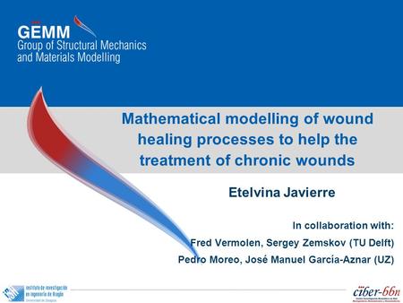 Mathematical modelling of wound healing processes to help the treatment of chronic wounds Etelvina Javierre In collaboration with: Fred Vermolen, Sergey.