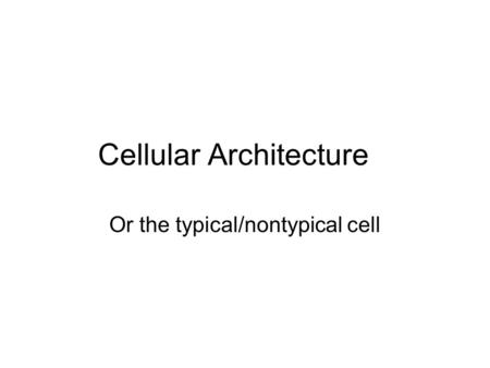 Cellular Architecture Or the typical/nontypical cell.