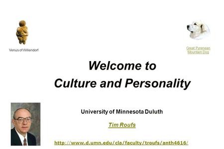 Welcome to Culture and Personality Venus of Willendorf Great Pyrenean Mountain Dog University of Minnesota.