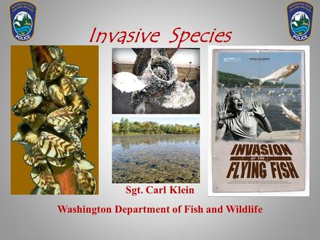 Invasive Species Sgt. Carl Klein Washington Department of Fish and Wildlife.