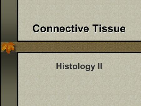 Connective Tissue Histology II. Functions To “Connect” To Support To Store Energy To Transport Substances.