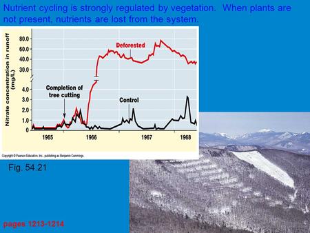 Nutrient cycling is strongly regulated by vegetation. When plants are not present, nutrients are lost from the system. pages 1213-1214 Fig. 54.21.