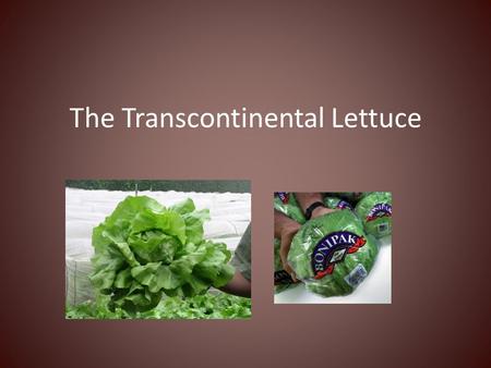 The Transcontinental Lettuce. Extreme Measures Nations will often go to extreme measures to move food into the global marketplace For example: Since 1992,