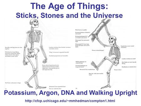 The Age of Things: Sticks, Stones and the Universe Potassium, Argon, DNA and Walking Upright