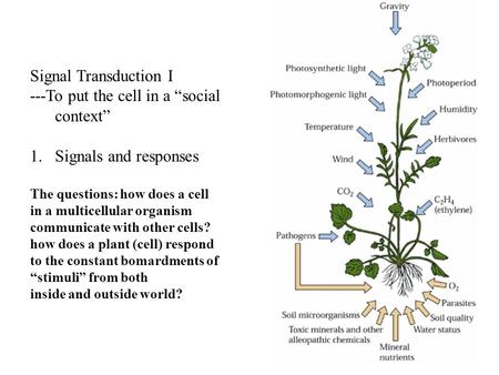 ---To put the cell in a “social context”