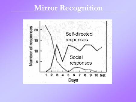 Mirror Recognition. Gender Development.