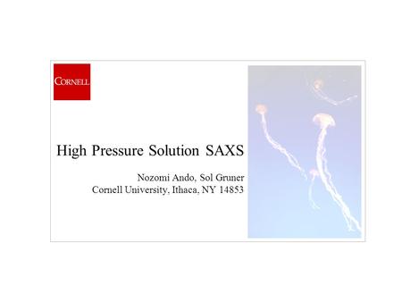 High Pressure Solution SAXS Nozomi Ando, Sol Gruner Cornell University, Ithaca, NY 14853.