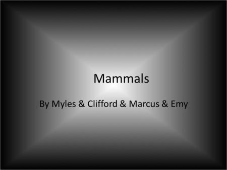 Mammals By Myles & Clifford & Marcus & Emy. Taxonomic Classification  One type of mammal is a human  Kingdom: Animilia  Phylum: Chordata  Class: Mammalia.