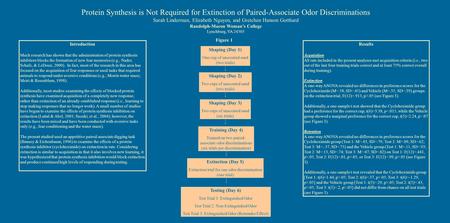 Protein Synthesis is Not Required for Extinction of Paired-Associate Odor Discriminations Sarah Linderman, Elizabeth Nguyen, and Gretchen Hanson Gotthard.