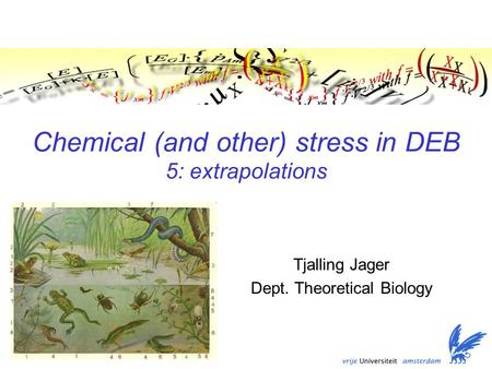 Chemical (and other) stress in DEB 5: extrapolations Tjalling Jager Dept. Theoretical Biology TexPoint fonts used in EMF. Read the TexPoint manual before.