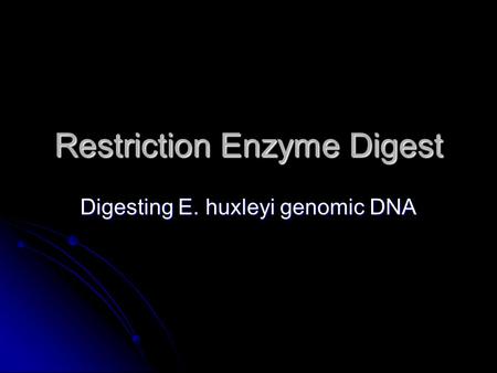 Restriction Enzyme Digest