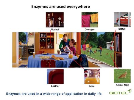 Enzymes are used everywhere