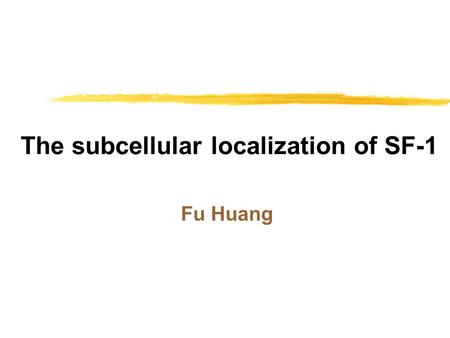 The subcellular localization of SF-1 Fu Huang. Lab Introduction Lab 429, Institute of Molecular Biology, Academia Sinica PI: Bon-chu Chung, Ph.D. Research.