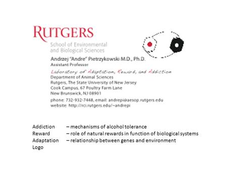 Addiction – mechanisms of alcohol tolerance Reward– role of natural rewards in function of biological systems Adaptation– relationship between genes and.