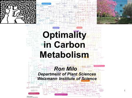 1 Optimality in Carbon Metabolism Ron Milo Department of Plant Sciences Weizmann Institute of Science.