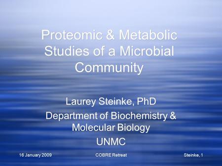 16 January 2009COBRE RetreatSteinke, 1 Proteomic & Metabolic Studies of a Microbial Community Laurey Steinke, PhD Department of Biochemistry & Molecular.